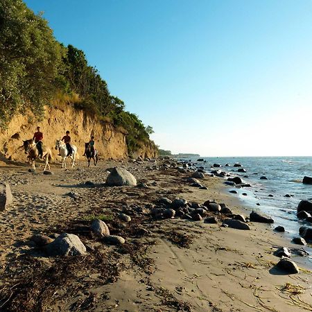 Daenische Ferienhaeuser Am Salzhaff Haus Pacific 인젤 포엘 외부 사진